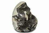 Free-Standing, Polished Septarian Geode - Black Crystals #302876-1